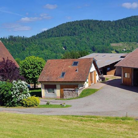 Chambres D'Hotes Hebergement F.Mathieu Saint-Maurice-sur-Moselle Eksteriør bilde