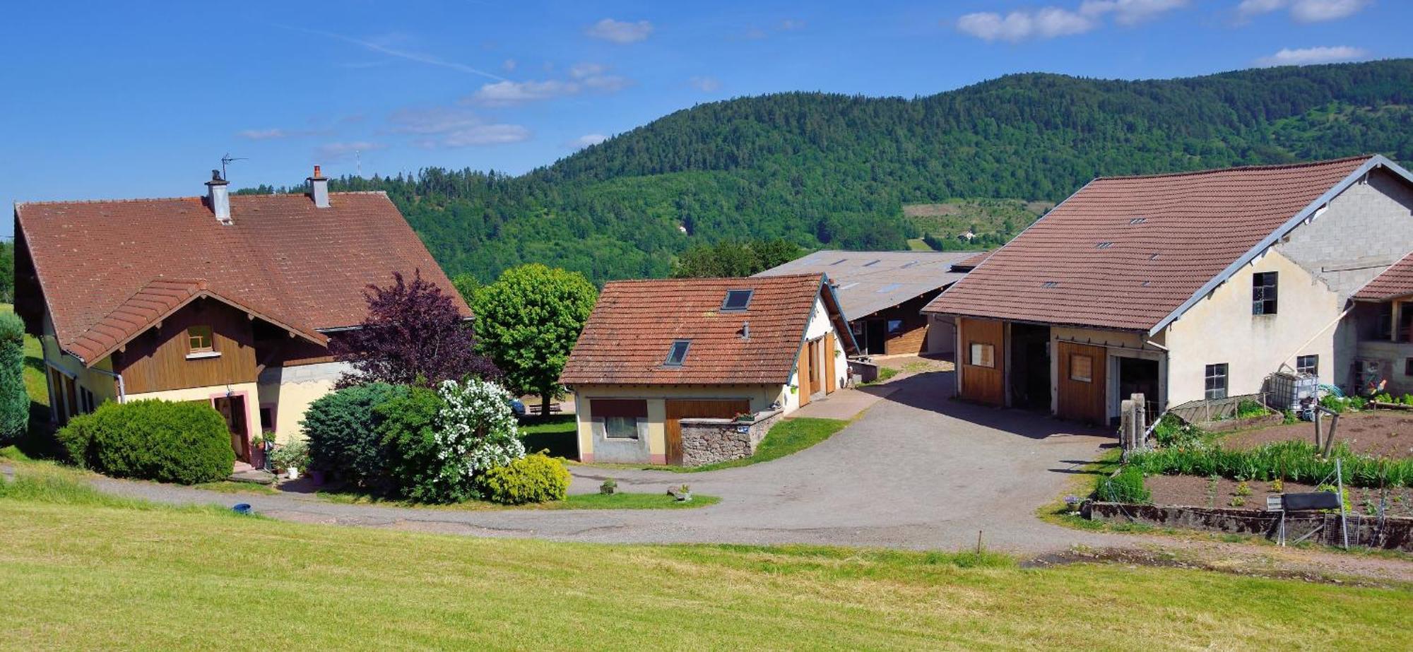 Chambres D'Hotes Hebergement F.Mathieu Saint-Maurice-sur-Moselle Eksteriør bilde