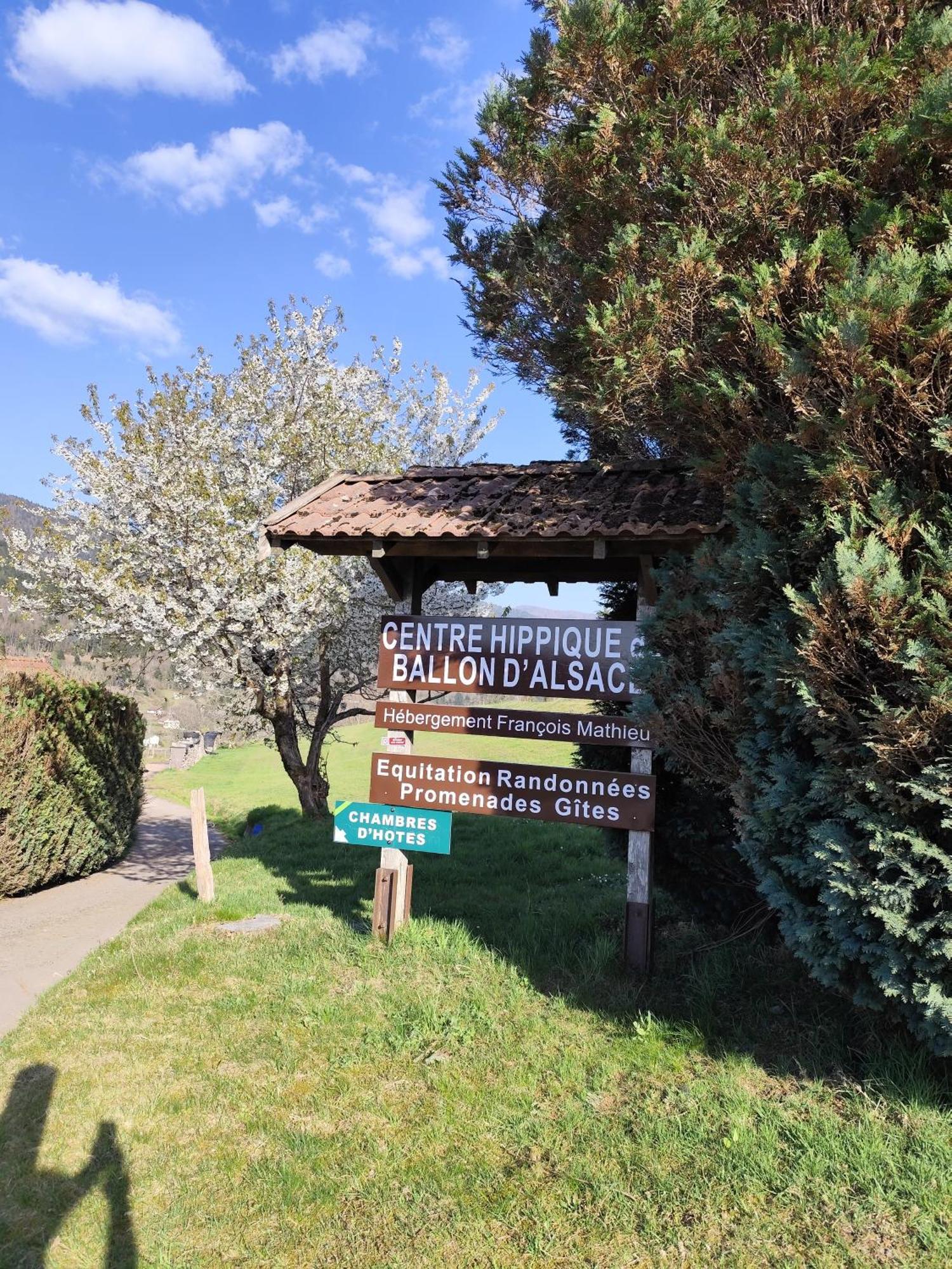 Chambres D'Hotes Hebergement F.Mathieu Saint-Maurice-sur-Moselle Rom bilde